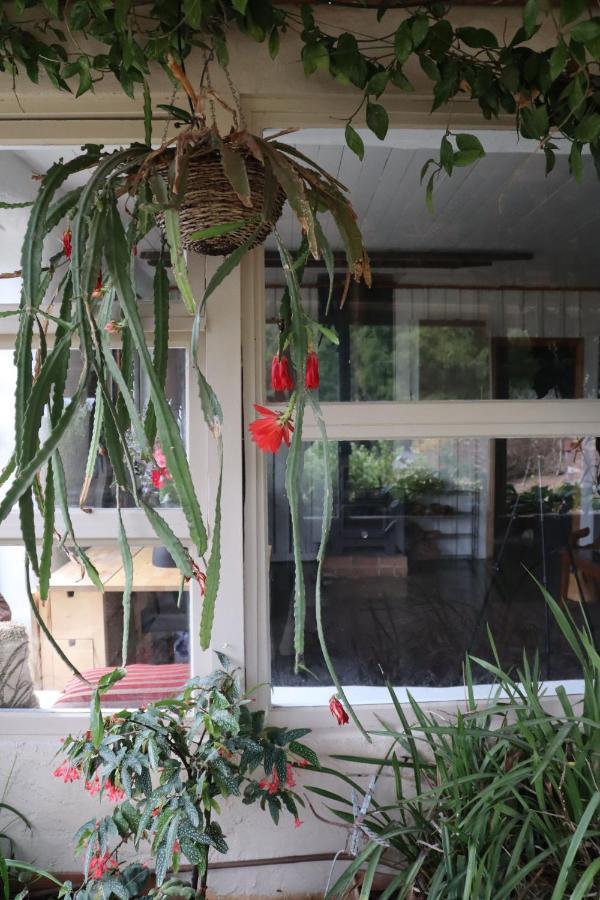 Strawbale Cottage - Wingspread Garden Strath Creek Exterior foto